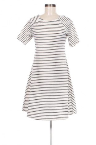 Kleid Zara Trafaluc, Größe S, Farbe Mehrfarbig, Preis 18,99 €