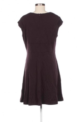 Kleid Zero, Größe L, Farbe Lila, Preis 13,99 €