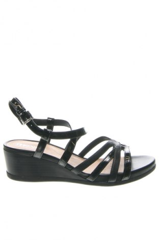 Sandalen Geox, Größe 38, Farbe Schwarz, Preis 26,99 €