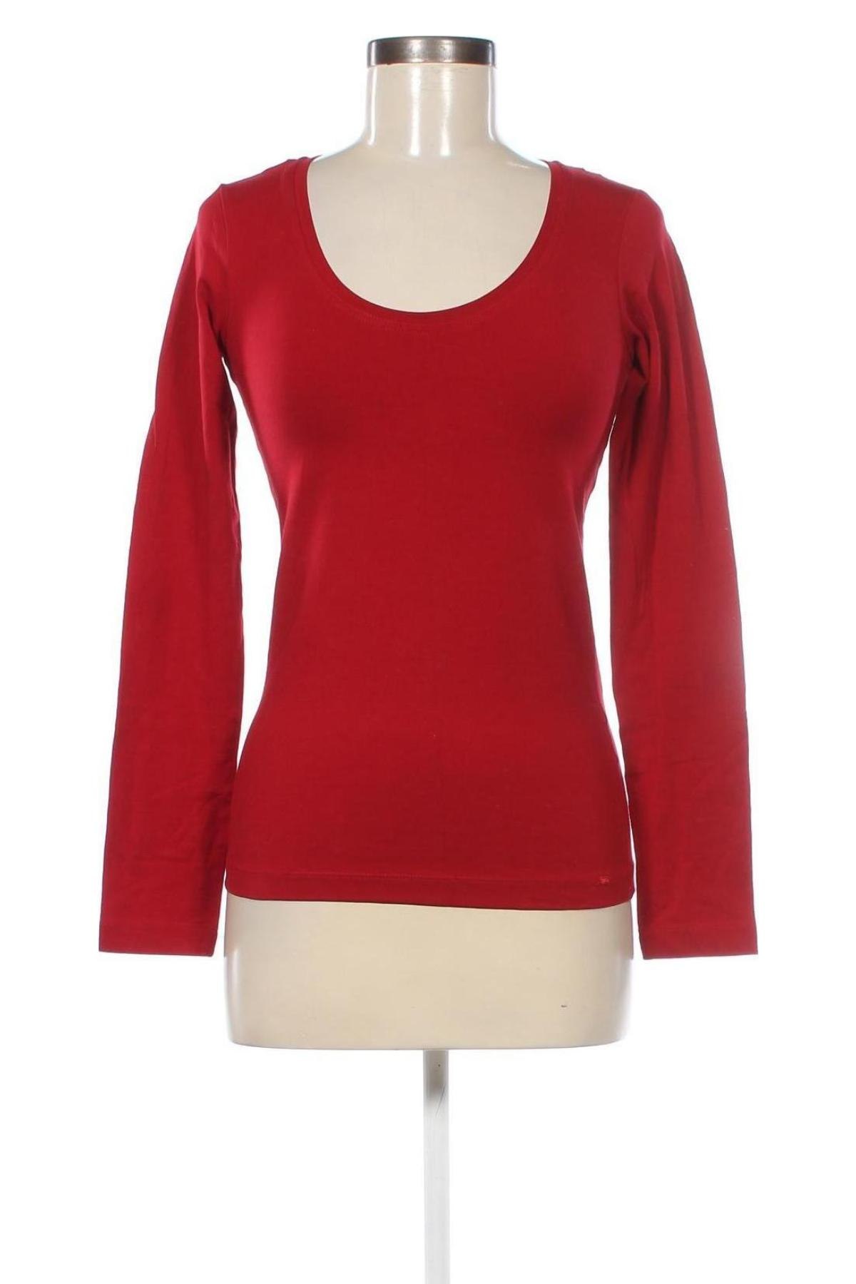 Damen Shirt, Größe S, Farbe Rot, Preis € 5,49