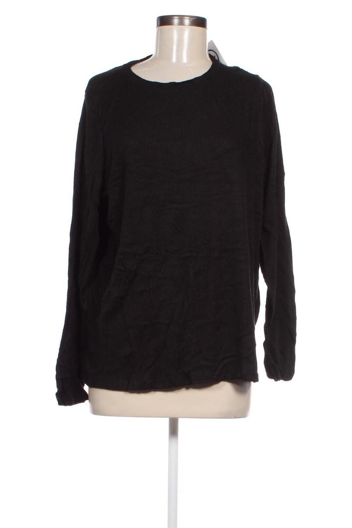 Damen Shirt Anko, Größe XXL, Farbe Schwarz, Preis 10,99 €