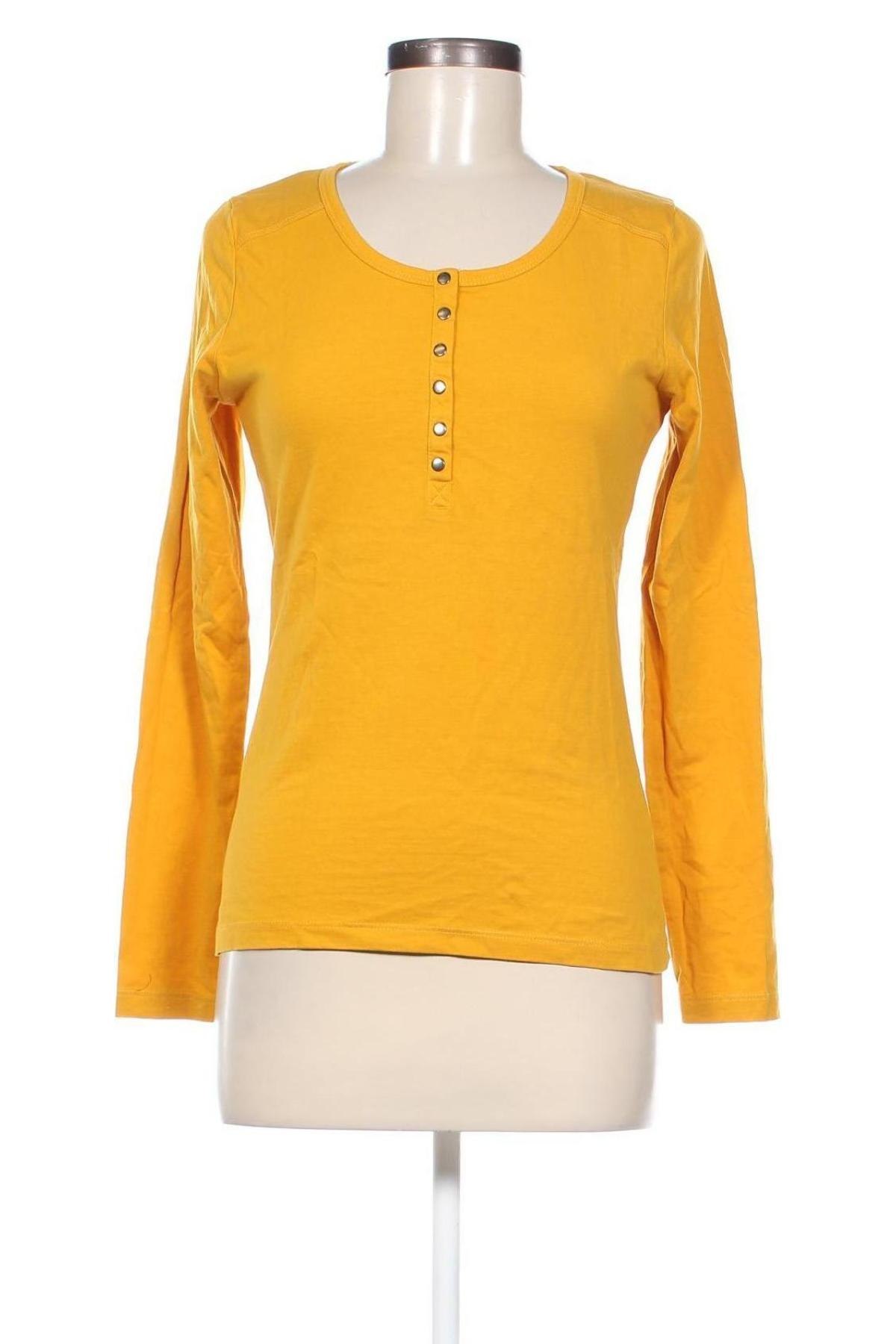 Damen Shirt Gina Benotti, Größe S, Farbe Orange, Preis € 6,49