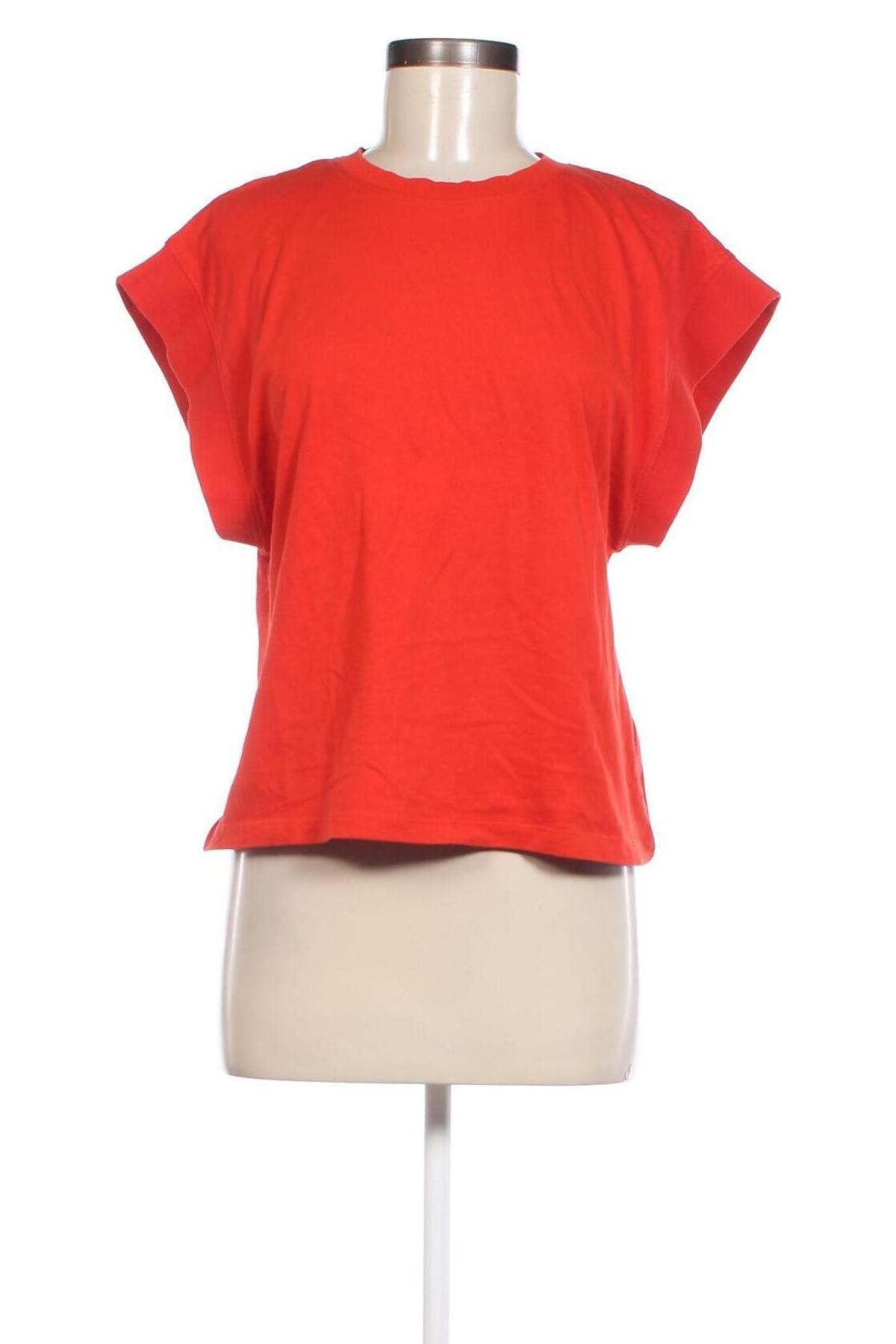 Damen Shirt Zara, Größe S, Farbe Rot, Preis 6,49 €