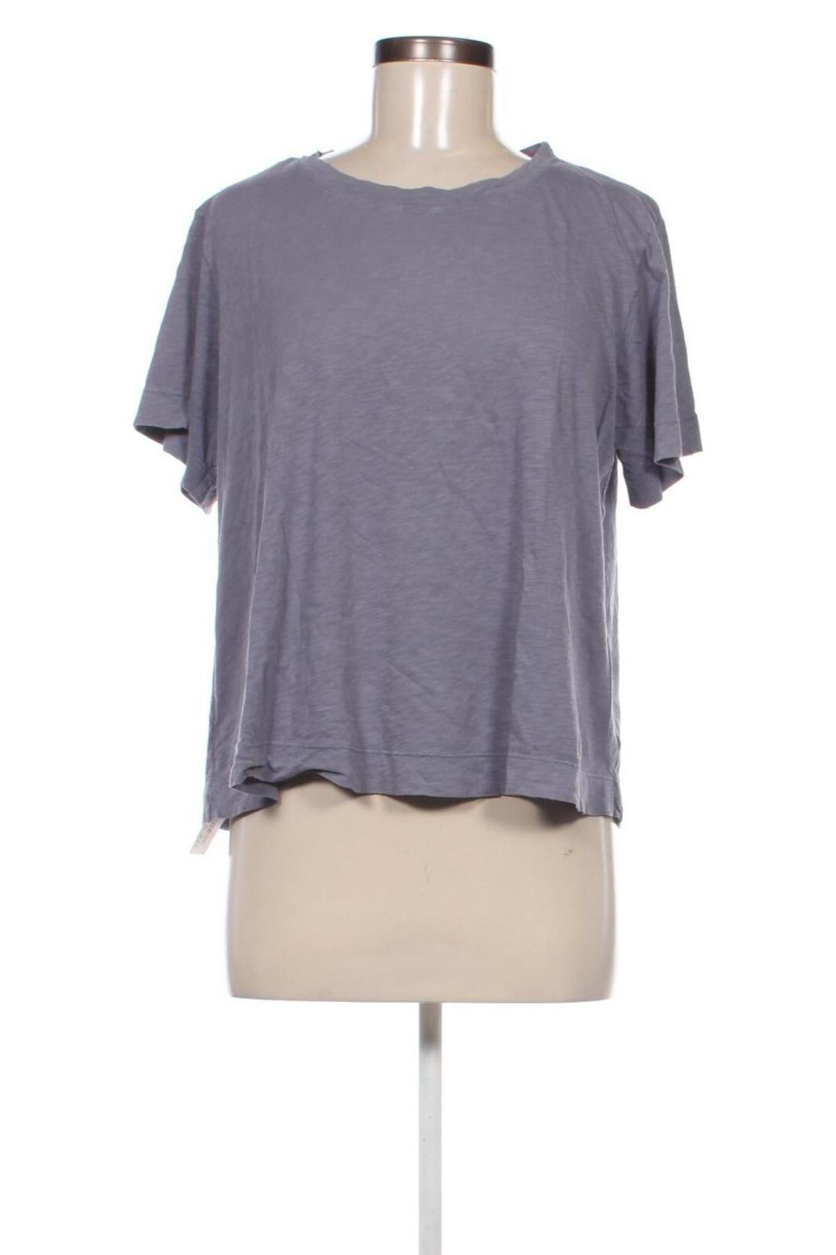 Γυναικείο t-shirt Velvet by Graham & Spencer, Μέγεθος L, Χρώμα Μπλέ, Τιμή 6,99 €