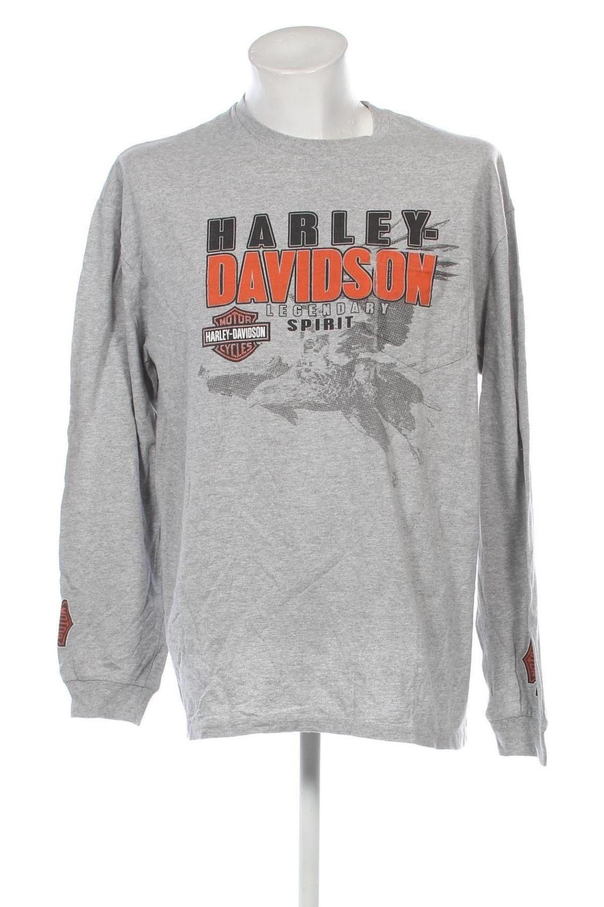 Herren Shirt Harley-Davidson, Größe L, Farbe Grau, Preis 18,99 €