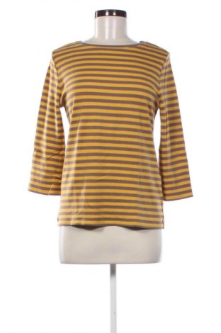Damen Shirt Cecil, Größe M, Farbe Mehrfarbig, Preis 17,00 €
