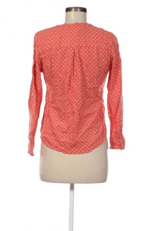 Damen Shirt Collection L, Größe M, Farbe Mehrfarbig, Preis € 13,99