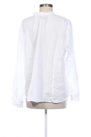 Γυναικεία μπλούζα Collection L, Μέγεθος XL, Χρώμα Λευκό, Τιμή 9,72 €