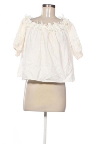Damen Shirt Colloseum, Größe L, Farbe Ecru, Preis € 9,72