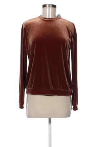 Γυναικεία μπλούζα Fashion, Μέγεθος XS, Χρώμα Καφέ, Τιμή 26,99 €
