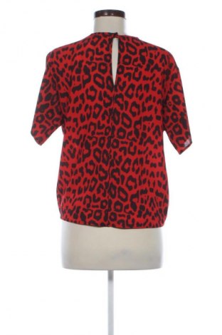 Damen Shirt Next, Größe M, Farbe Mehrfarbig, Preis € 13,80