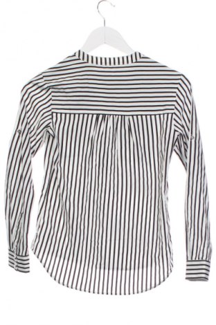 Damen Shirt S.Oliver, Größe XS, Farbe Mehrfarbig, Preis € 23,99