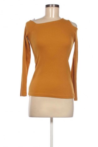 Damen Shirt Terranova, Größe M, Farbe Orange, Preis € 9,79
