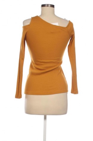 Damen Shirt Terranova, Größe M, Farbe Orange, Preis € 9,79