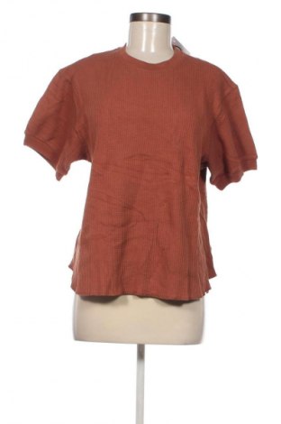 Damen Shirt Uniqlo, Größe XL, Farbe Braun, Preis € 15,99