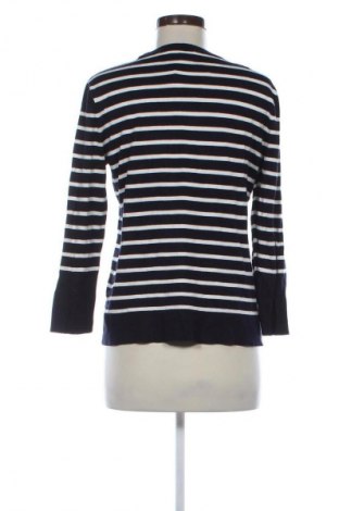 Damen Shirt Warehouse, Größe XXL, Farbe Mehrfarbig, Preis 17,30 €