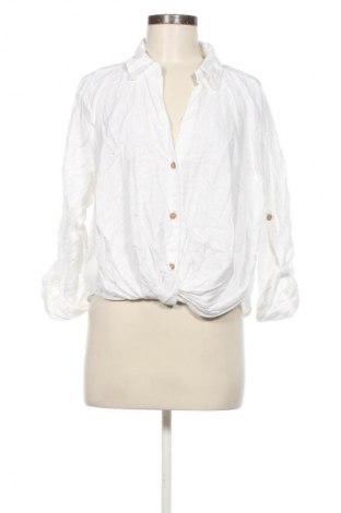Damen Shirt Zara, Größe L, Farbe Weiß, Preis € 18,99