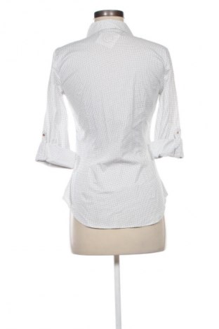 Damen Shirt Zara, Größe M, Farbe Mehrfarbig, Preis € 13,81