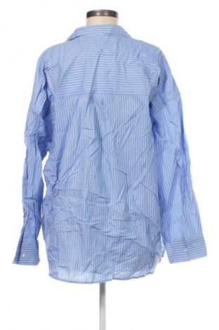 Damenbluse Anko, Größe XL, Farbe Mehrfarbig, Preis € 17,99