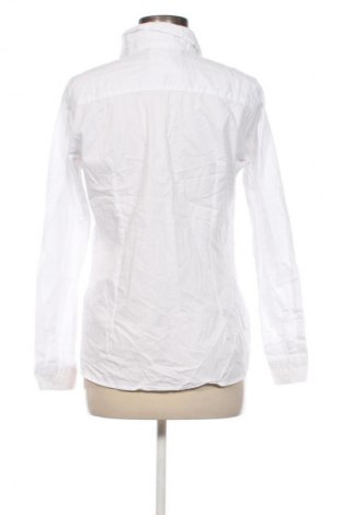 Damenbluse Bpc Bonprix Collection, Größe M, Farbe Weiß, Preis € 17,99