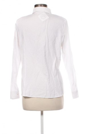 Damenbluse Canda, Größe L, Farbe Weiß, Preis € 12,83