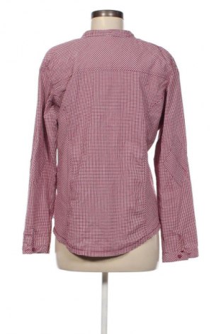 Damenbluse Cecil, Größe L, Farbe Mehrfarbig, Preis 28,99 €