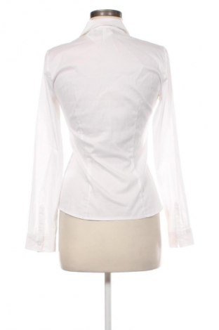 Damenbluse Charles Vogele, Größe S, Farbe Weiß, Preis € 12,79