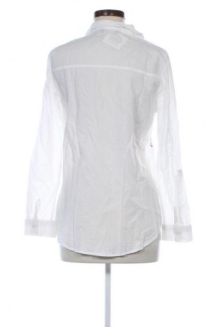 Damenbluse Dorothy Perkins, Größe M, Farbe Mehrfarbig, Preis € 17,99