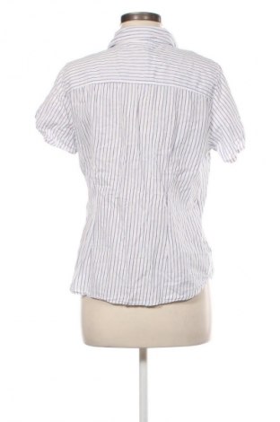 Damenbluse H&M L.O.G.G., Größe XL, Farbe Mehrfarbig, Preis € 12,79