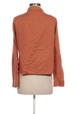 Női ing Haily`s, Méret XL, Szín Barna, Ár 11 099 Ft