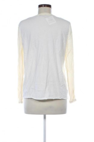 Dámska košeľa  Massimo Dutti, Veľkosť XL, Farba Viacfarebná, Cena  31,95 €