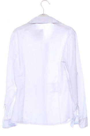 Damenbluse New Fashion, Größe S, Farbe Weiß, Preis € 8,99