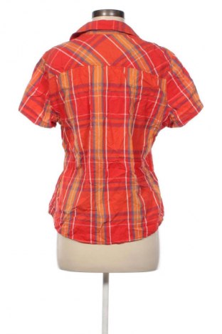 Damenbluse Peckott, Größe M, Farbe Mehrfarbig, Preis € 7,99