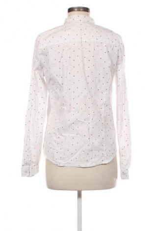 Damenbluse Sinsay, Größe L, Farbe Mehrfarbig, Preis 12,77 €