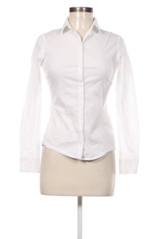 Damenbluse Terranova, Größe S, Farbe Weiß, Preis € 12,79