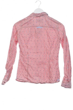 Damenbluse Unbranded, Größe XS, Farbe Mehrfarbig, Preis 8,99 €