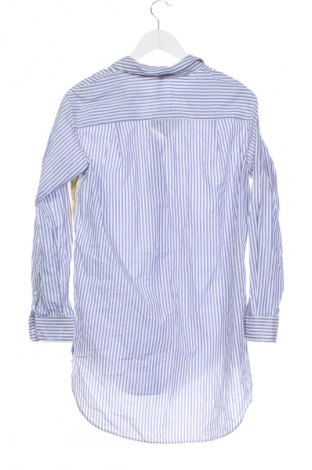 Damenbluse Zara Trafaluc, Größe XS, Farbe Mehrfarbig, Preis € 18,99