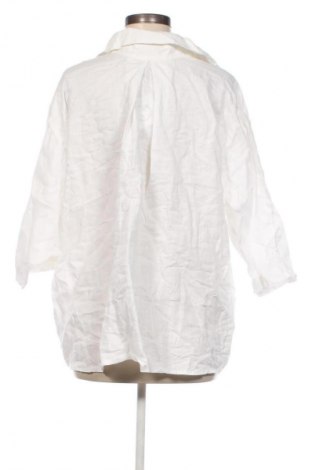 Damenbluse Zara, Größe M, Farbe Weiß, Preis 18,99 €
