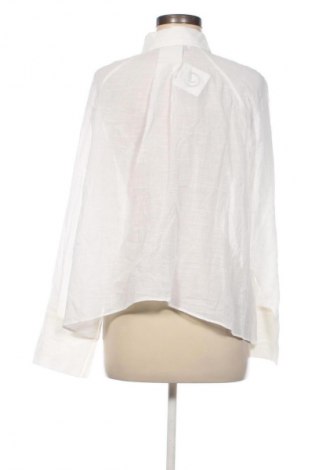 Damenbluse Zara, Größe M, Farbe Weiß, Preis € 18,99