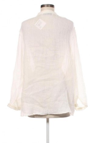 Damenbluse Zara, Größe L, Farbe Ecru, Preis € 14,00