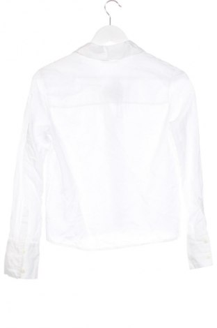 Damenbluse Zara, Größe XS, Farbe Weiß, Preis € 13,80