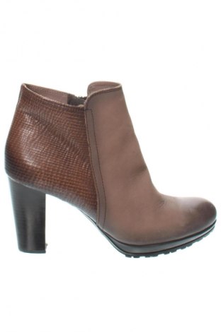 Damen Stiefeletten Firenze Artegiani, Größe 40, Farbe Braun, Preis 75,10 €