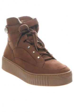 Damen Stiefeletten Tommy Hilfiger, Größe 38, Farbe Braun, Preis 68,09 €