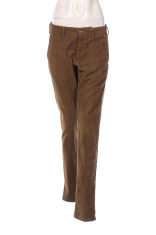 Damskie sztruksy Massimo Dutti, Rozmiar M, Kolor Zielony, Cena 156,32 zł
