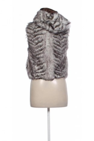 Vestă de femei Atmosphere, Mărime XS, Culoare Multicolor, Preț 126,00 Lei
