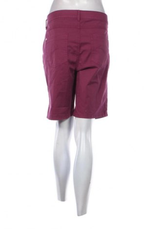 Damskie szorty Gina Laura, Rozmiar XL, Kolor Fioletowy, Cena 142,99 zł