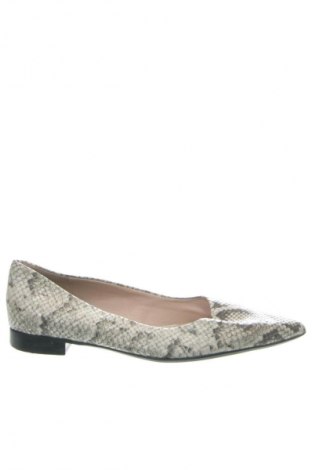 Dámske topánky  Clarks, Veľkosť 40, Farba Viacfarebná, Cena  25,95 €