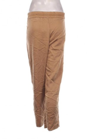 Damenhose H&M, Größe XXL, Farbe Braun, Preis 20,99 €