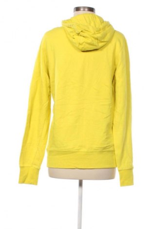 Damen Sweatshirt Champion, Größe S, Farbe Grün, Preis € 28,99