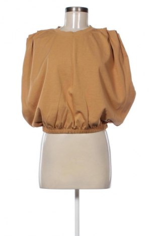 Damentop Zara, Größe L, Farbe Braun, Preis 9,21 €